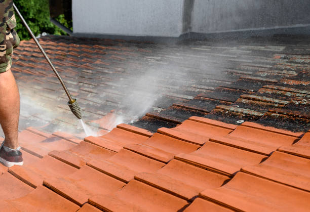 Best Roof Pressure Washing  in Oneida, NY