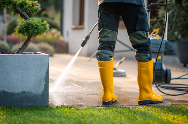 Best Pressure Washing Company Near Me  in Oneida, NY